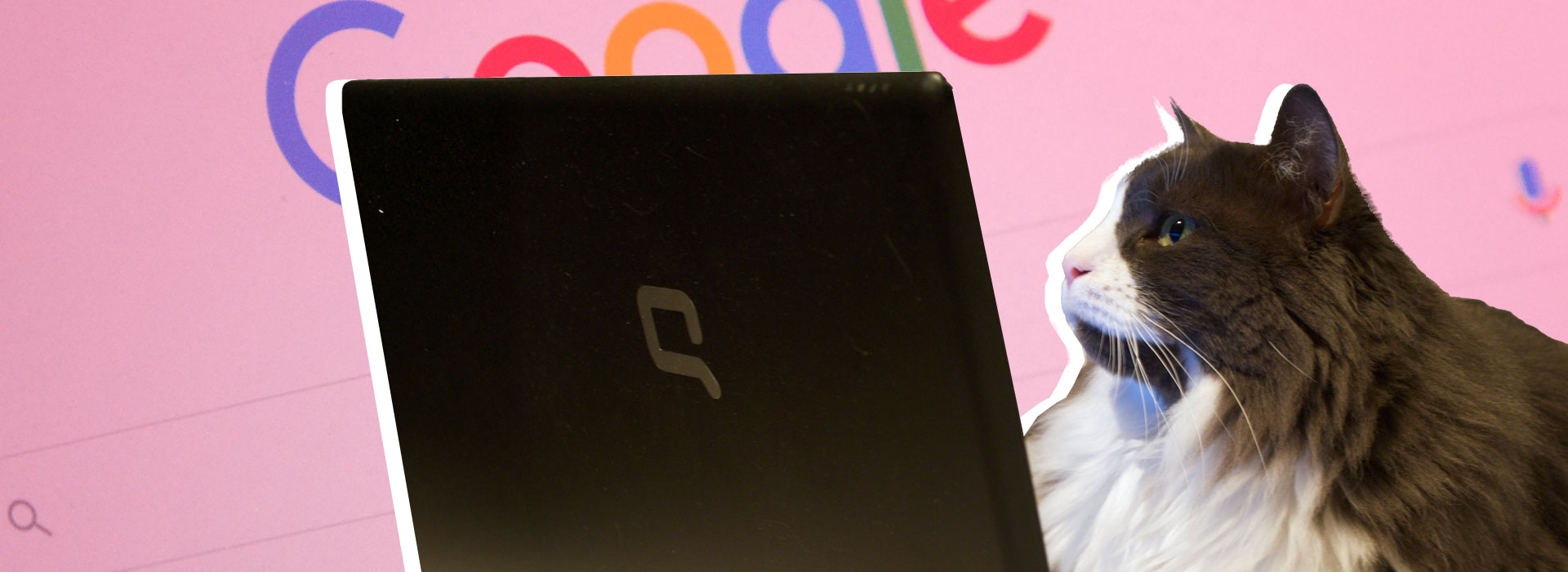 Comment fonctionnent les moteurs de recherche ?